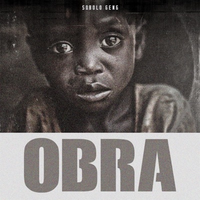 Obra Life - Single