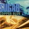 Dum Dum Boys - Sugar lyrics