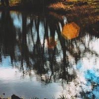 Glade - Single - Vintage Kami