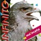 Vientico Grosero artwork