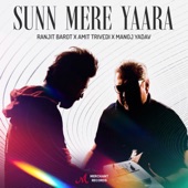 Sunn Mere Yaara artwork