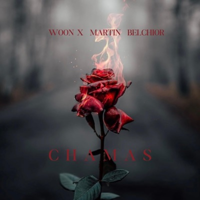 Chamas-Woon & Martin Belchior - Single