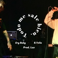TMSB (feat. B.Yella & Luvatplay) - Single - Cry Baby
