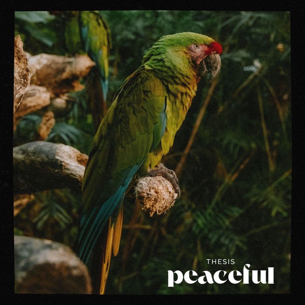 Peaceful - Single