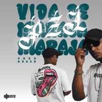 Vida de Maraja - Single - Mc Pzl & DJ Brash