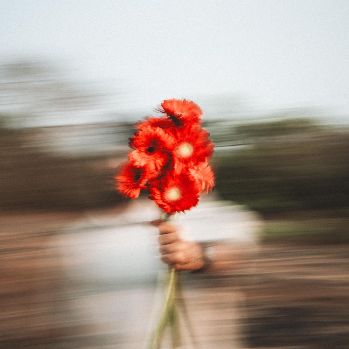 Keane Cotta - redecorate - EP (2026) [iTunes Plus AAC M4A]-新房子