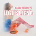 slow monkeys