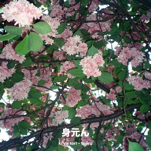 tojiru - Single