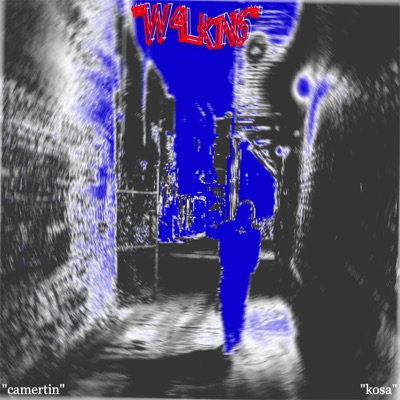 W4LK1N6 (feat. Camertin) - Single