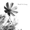 Empty Parking Lot - Single