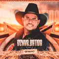 Senha Batida