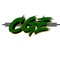 Gotye Green - CGE GREEN lyrics