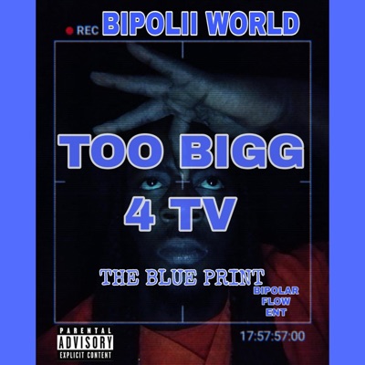 TOO BIGG 4 TV (THE BLUE PRINT)