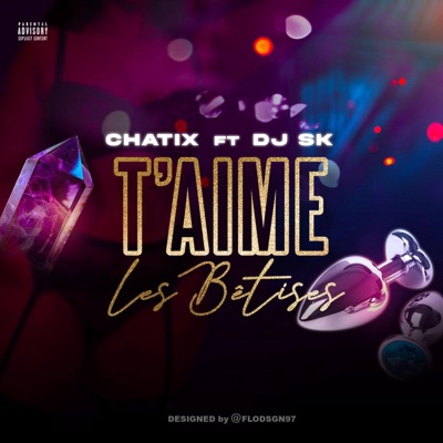 T'aimes les bêtises (feat. Dj SK) - Single