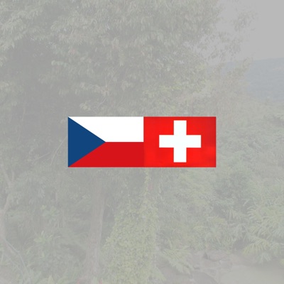 CZECH SWISS (feat. RIZZU, STUMP, KNEAF, MAYA FROM THE BURGH & SEBBYPICKLES) - Single