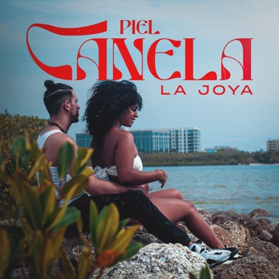 Piel Canela - Single