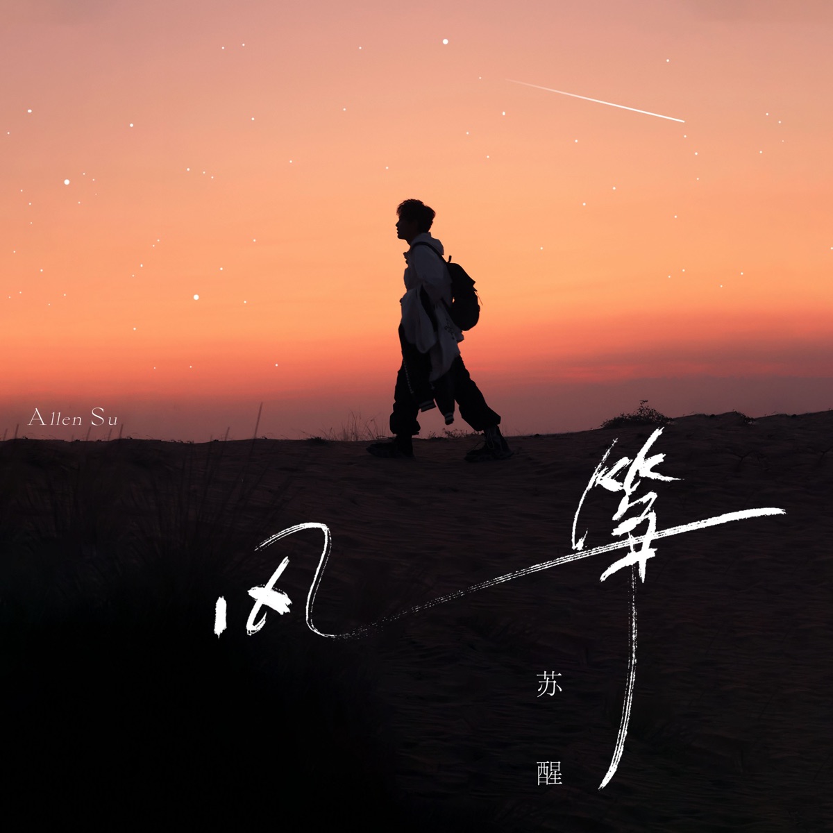 苏醒 - 风筝 - Single (2025) [iTunes Plus AAC M4A]-新房子