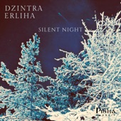 Silent Night (Fireplace Version) [Arr. for Piano by Dzintra Erliha] artwork