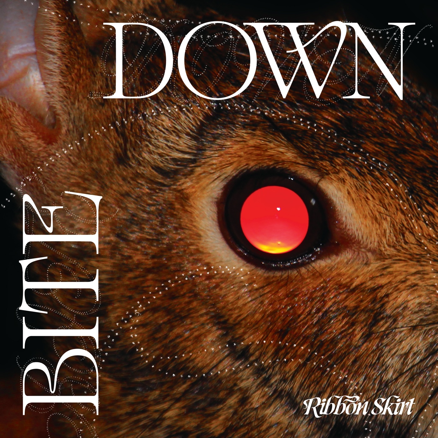 Bite Down by Ribbon Skirt