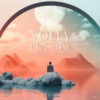 Volta pra mim (feat. Ky Sheny) - Single - Dj Lee Ross