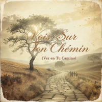 Vois Sur Ton Chemin (Ver en Tu Camino) - Single - Boom Vibes Music