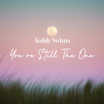 Teddy Swimss - You re Still The One