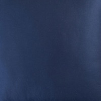 Pakstin - Single - 1Kota