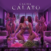 Cacha Calato (feat. La Cucu, Dysho el Sujeto Fino, KORI KORINTIO, Hyro & Naiker.pe) - Single - Mariobeatzz