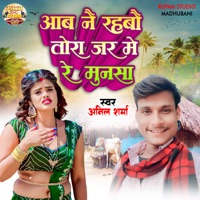 Aab Nai Rahbo Tora Jar Me Re Munsa - Single - Anil Sharma