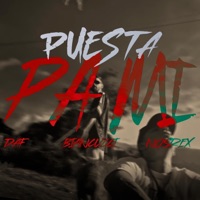 Puesta pa mi (feat. Biancucci & daf) - Single - Nosrex