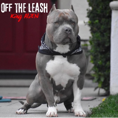 Off the Leash (violence) - Single