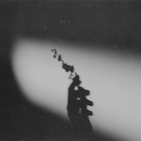 Brother - Single - Kalisito