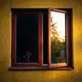 Despertar