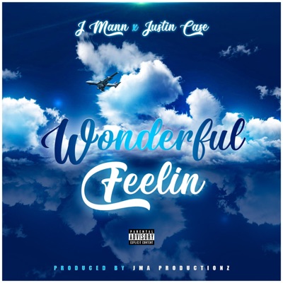 Wonderful Feelin (feat. Justin Case) - Single