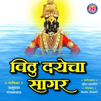 Vithu Dayecha Sagar - Single - Anuradha Gaikwad