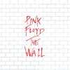 Pink Floyd - The Doctor (Comfortably Numb) [The Wall Work In Progress, Pt. 2, 1979] [Programme 1] [Band Demo] artwork