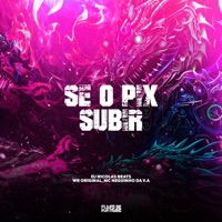 Se o Pix Subir - Single - WR ORIGINAL & Mc Neguinho da V.A