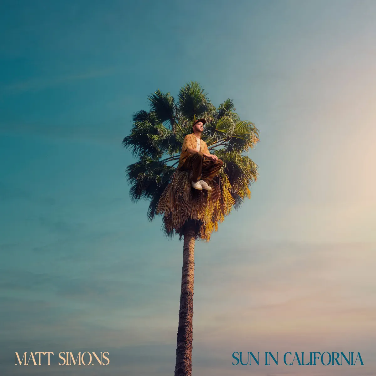 Matt Simons - Sun In California (2025) [iTunes Plus AAC M4A]-新房子