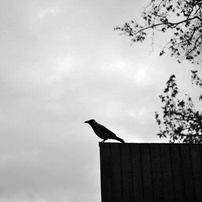 Ballin (feat. Blake) - Single