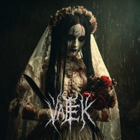 MS.TERRAFIER - Single - VALAEK