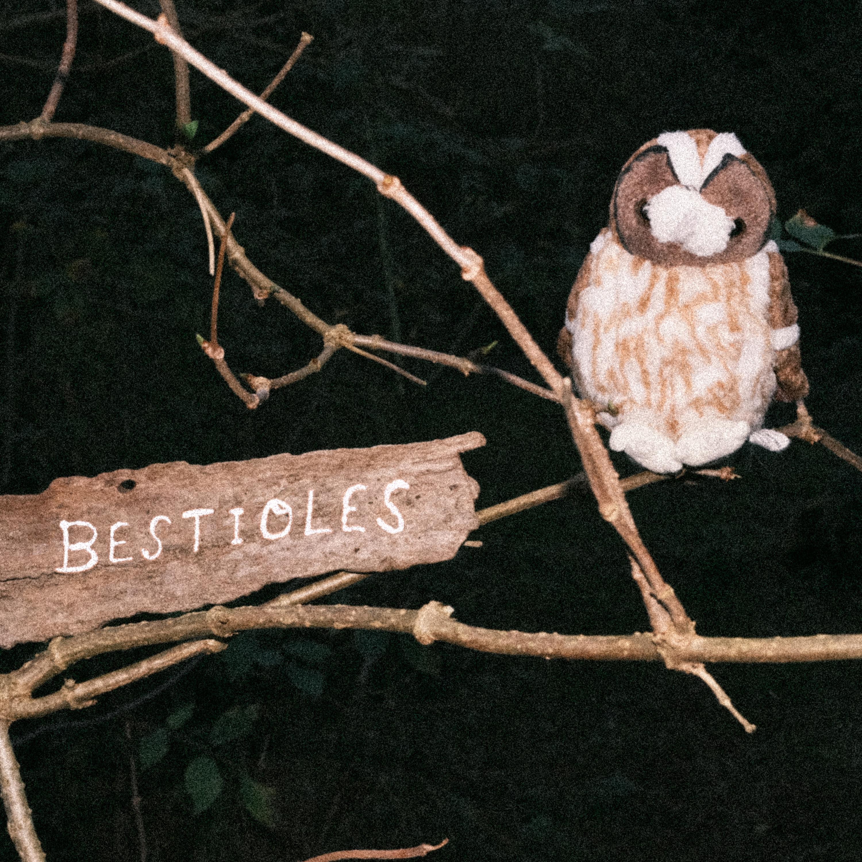 Bestioles - Single