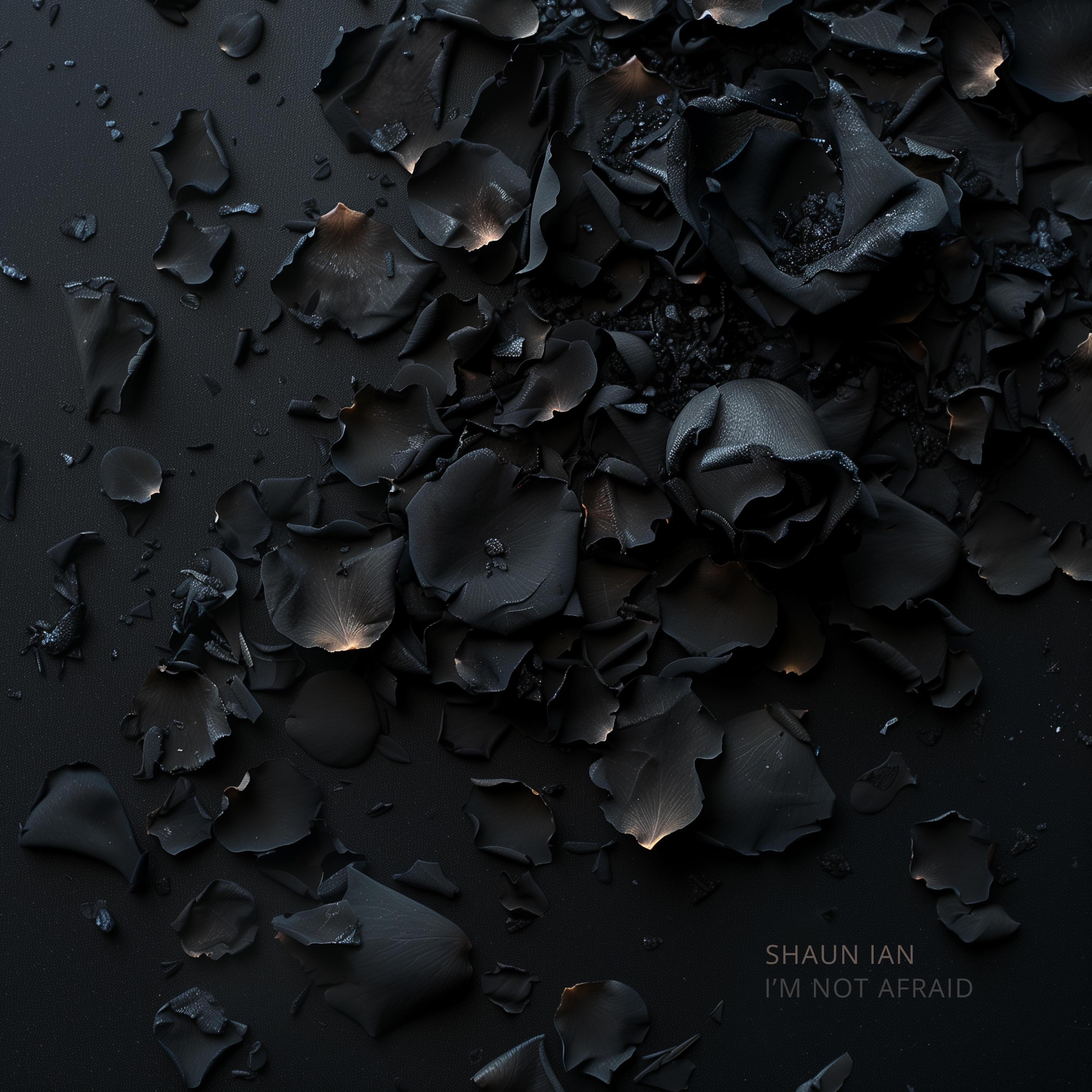 I'm Not Afraid - Single