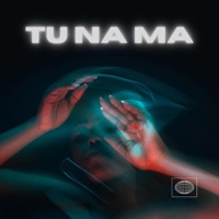 Tu na ma (Remazterizado) - Single - Diboy Golden Music