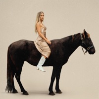 COWBOYS (acoustic) - Single - Ashley Walls