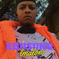 Ebusuku (Radio Edit) - Single - Lmaloro