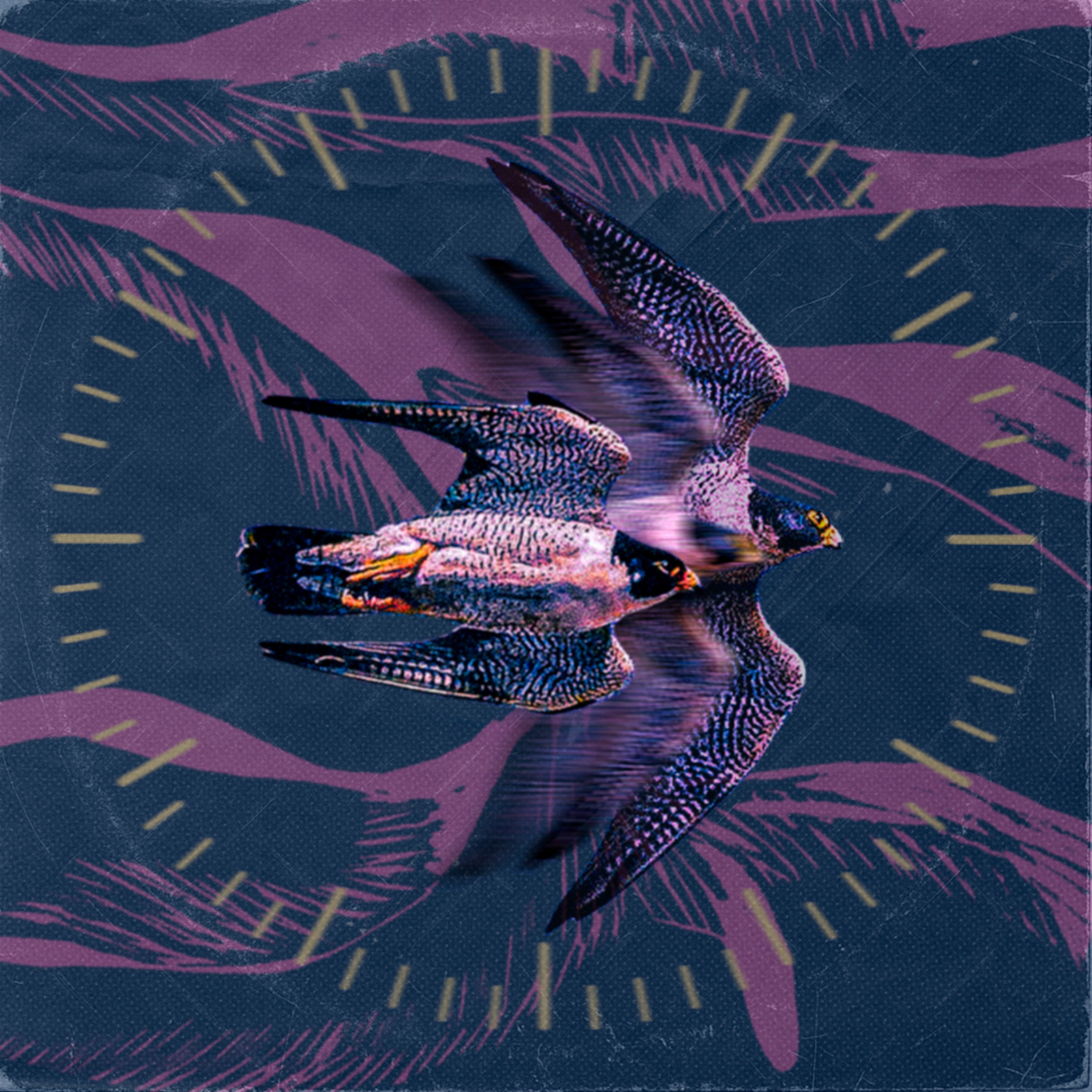 La Migración de las Aves - Single