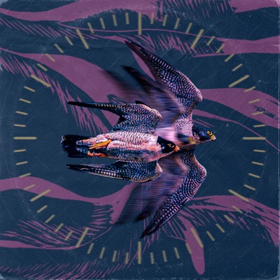 La Migración de las Aves - Single