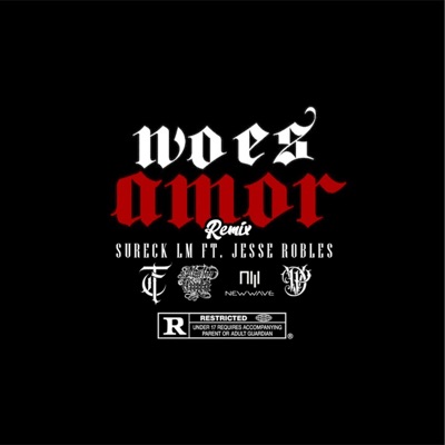 No es amor (feat. Jesse Robles) - Single