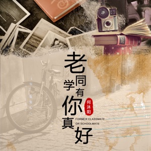 老同学 有你真好 - Single
