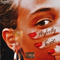 Perfectly Toxic (feat. DezAFool) - Single - Dashboydev